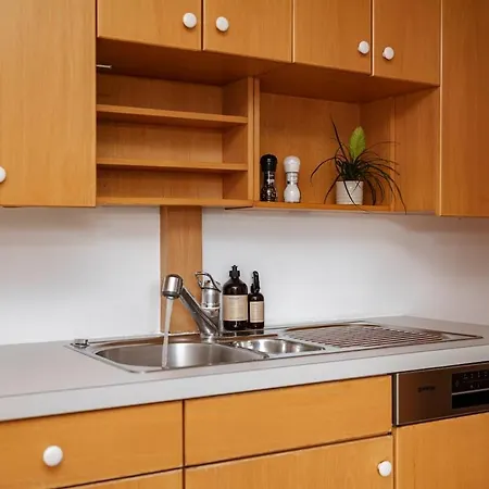 Zentraler Charme Im Historischen Dachgeschoss * Bregenz