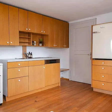 Zentraler Charme Im Historischen Dachgeschoss