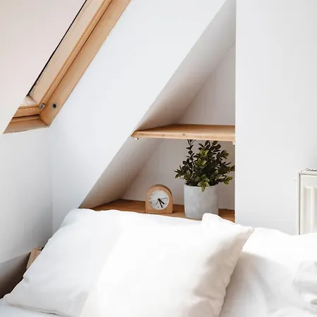 Zentraler Charme Im Historischen Dachgeschoss *